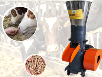 Cow Feed Machine